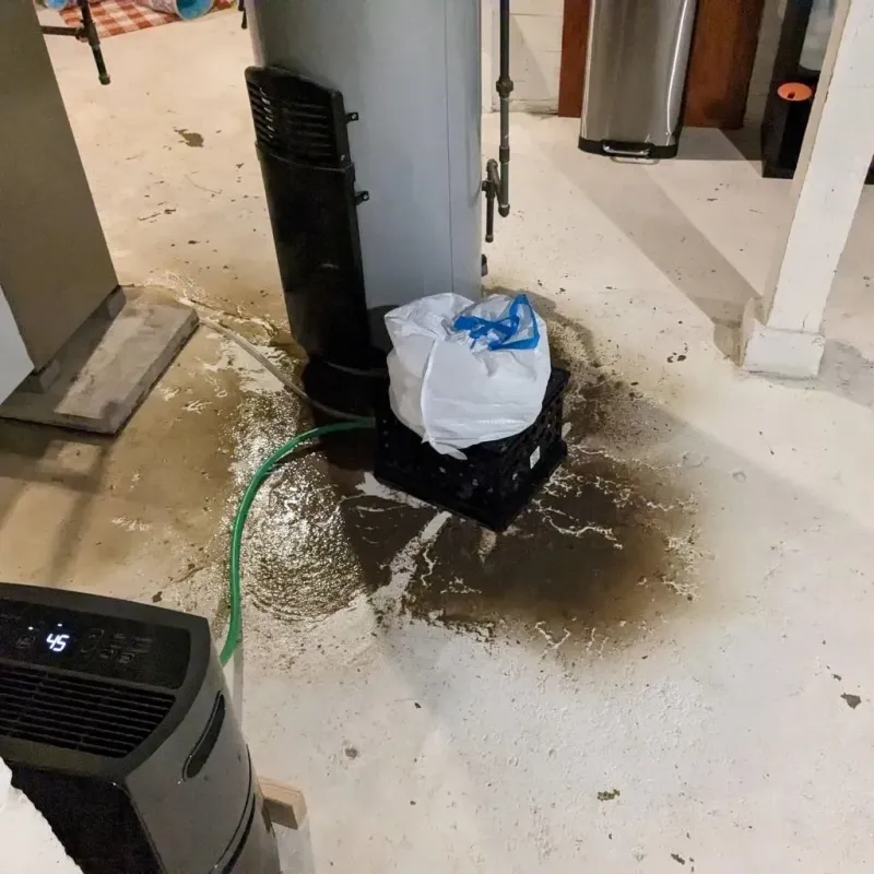 Sewage Backup Cleanup Service in Pipestone County, MN